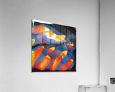 3198 8K Acrylic Print