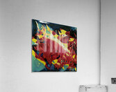 3177 8K Acrylic Print