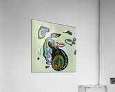 3208 8K Acrylic Print