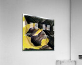 3232 8K Acrylic Print