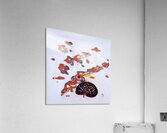 3223 8K Acrylic Print