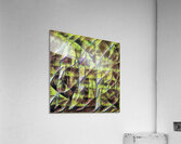 3235 8K Acrylic Print