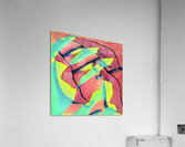 3202 8K Acrylic Print