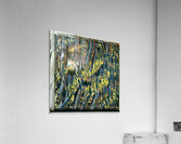 3219 8K Acrylic Print