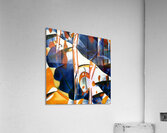 3231 8K Acrylic Print