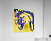 3230 8K Acrylic Print