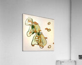 3240 8K Acrylic Print