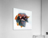 3245 8K Acrylic Print