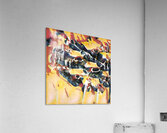 3263 8K Impression acrylique