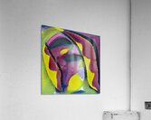 3274 8K Acrylic Print