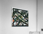 3284 8K Acrylic Print