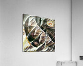 3289 8K Acrylic Print