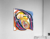 3299 8K Acrylic Print