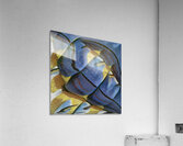 3287 8K Acrylic Print