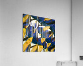 3300 8K Acrylic Print