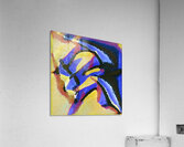 3342 8K Acrylic Print