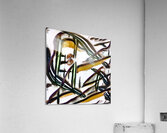 3331 8K Acrylic Print