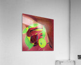 3350 8K Acrylic Print