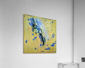 3352 8K Acrylic Print