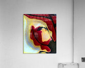 3373 8K Acrylic Print