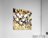 3398 8K Acrylic Print