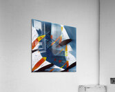 3371 8K Acrylic Print