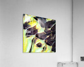 3390 8K Acrylic Print