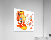 3400 8K Acrylic Print