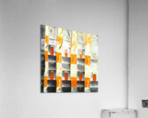 3409 8K Acrylic Print