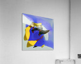 3415 8K Acrylic Print