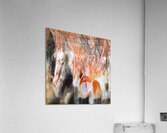 3428 8K Acrylic Print