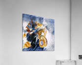 3417 8K Acrylic Print