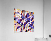 3475 8K Acrylic Print