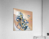 3462 8K Acrylic Print