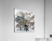 3468 8K Acrylic Print