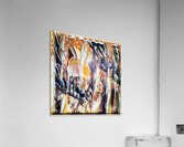 3455 8K Acrylic Print