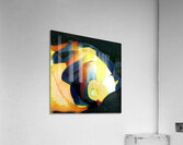 3458 8K Acrylic Print