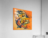 3444 8K Acrylic Print