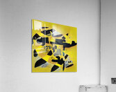 3502 8K Acrylic Print