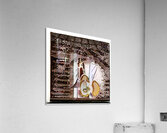 3494 8K Acrylic Print