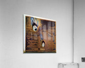 3498 8K Acrylic Print