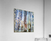 3482 8K Acrylic Print