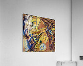 3514 8K Acrylic Print