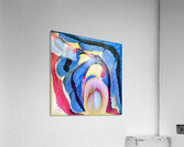 3505 8K Acrylic Print