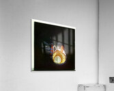 3499 8K Acrylic Print