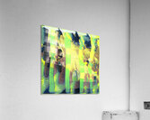 3485 8K Acrylic Print