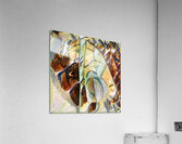 3504 8K Acrylic Print