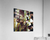 3500 8K Acrylic Print