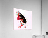 3507 8K Acrylic Print