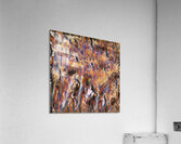 3422 8K Acrylic Print